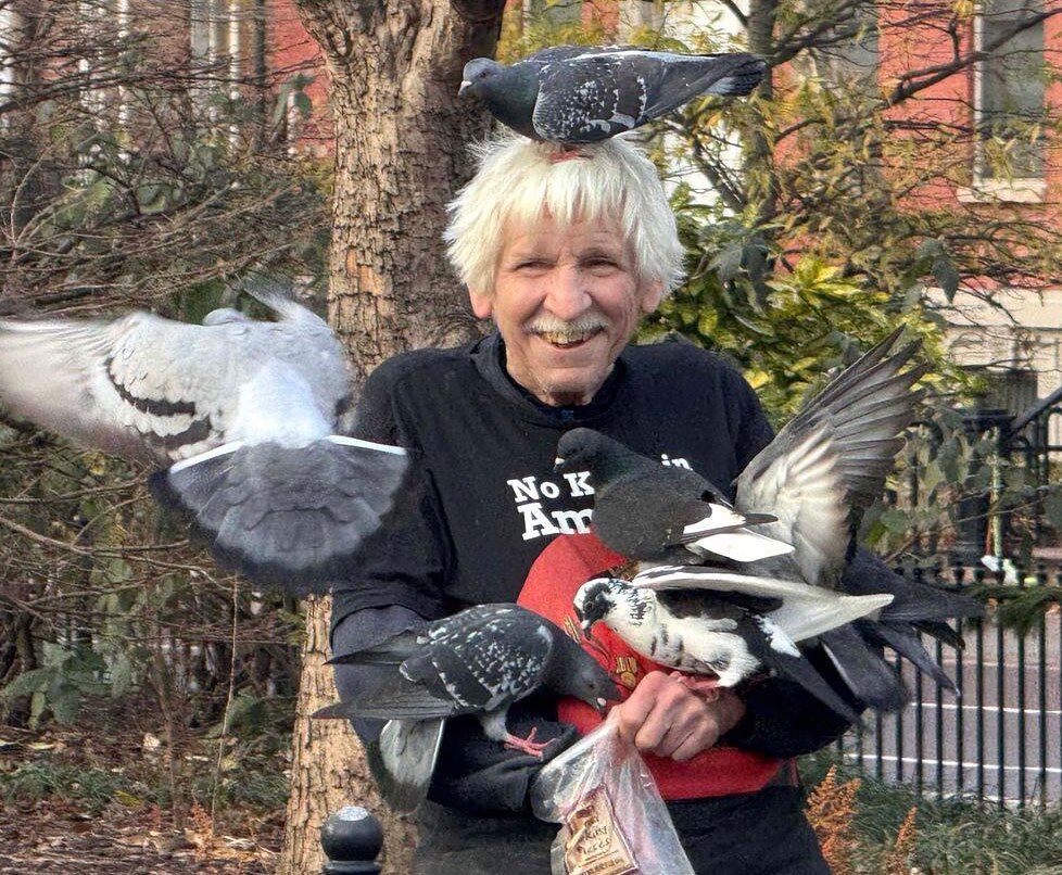 مردی در حال غذا دادن به کبوترها در نیویورک