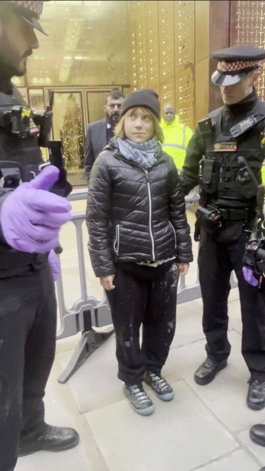 گرتا تونبرگ، فعال محیط زیست