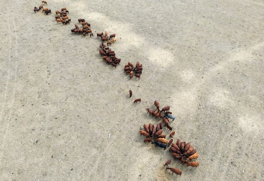 دیدنی های امروز؛ از دیدار ترامپ و نتانیاهو تا تصاویر برگزیده سال 2025 تصاویر برگزیده سال 2025