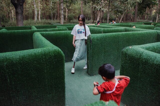 تقدیر ویژه- بازگشت به زندگی 
