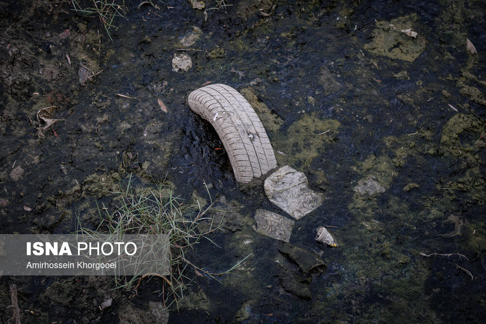 خورهای بندرعباس؛ تهدید خاموش سلامت در قلب شهر خورهای بندرعباس