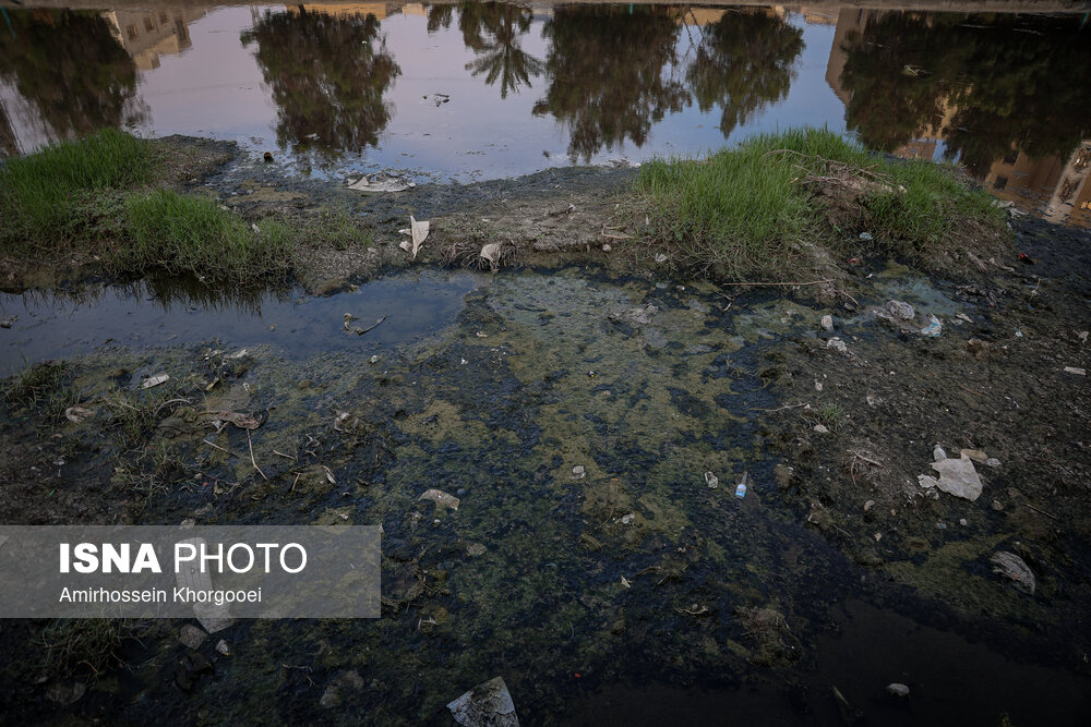 خورهای بندرعباس؛ تهدید خاموش سلامت در قلب شهر خورهای بندرعباس