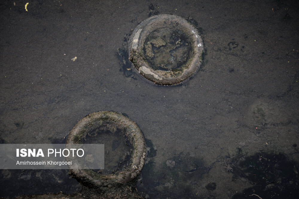 خورهای بندرعباس؛ تهدید خاموش سلامت در قلب شهر خورهای بندرعباس