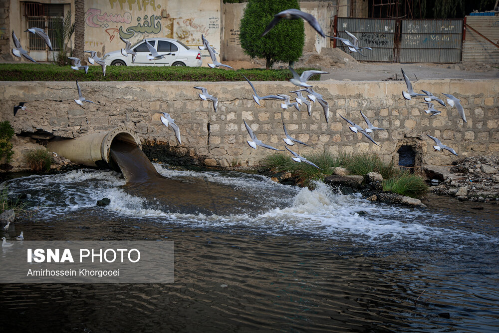 خورهای بندرعباس؛ تهدید خاموش سلامت در قلب شهر خورهای بندرعباس