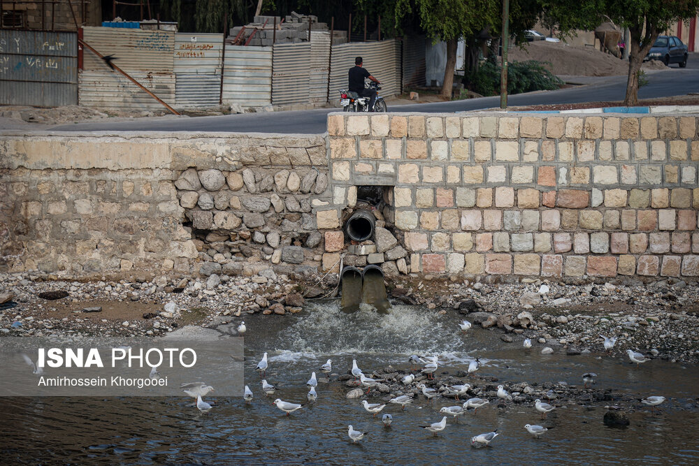 خورهای بندرعباس؛ تهدید خاموش سلامت در قلب شهر خورهای بندرعباس