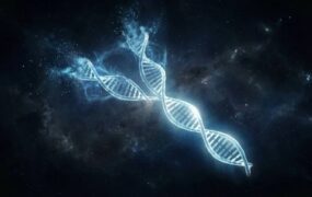 آیا کروموزوم Y در آستانه نابودی است؟ واقعیت علمی درباره سرنوشت مردان آیا کروموزوم Y در آستانه نابودی است؟