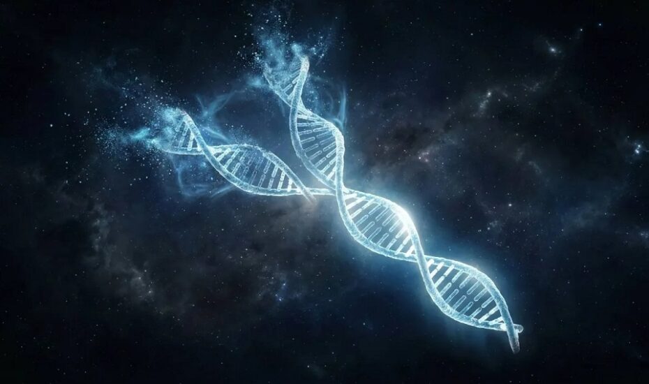 آیا کروموزوم Y در آستانه نابودی است؟