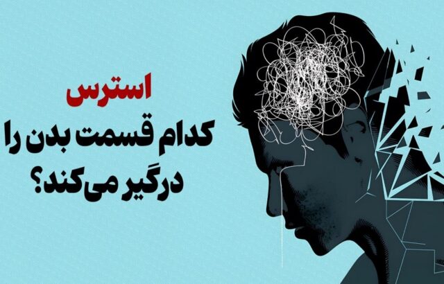 استرس به کدام بخش‌های بدن حمله می‌کند؟