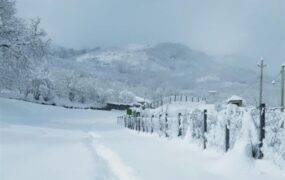 ارتفاع برف در گیلان به ۶۰ سانتیمتر رسید برف