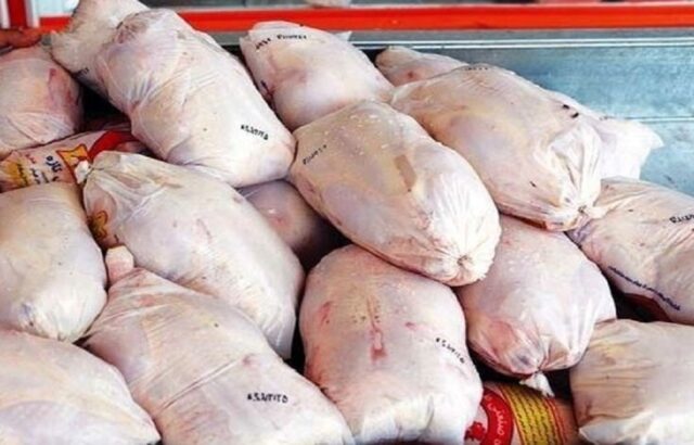 توزیع مرغ منجمد