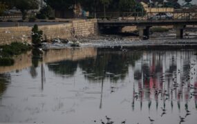 خورهای بندرعباس؛ تهدید خاموش سلامت در قلب شهر خورهای بندرعباس