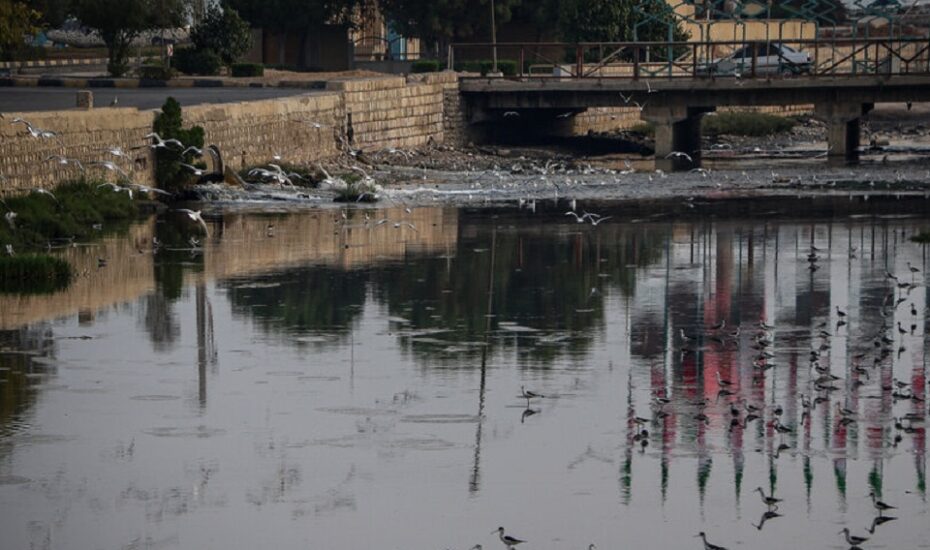 خورهای بندرعباس