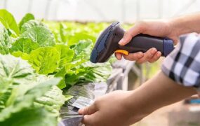 چگونه یک فروشگاه معتبر برای خرید دستگاه بارکدخوان انتخاب کنیم؟