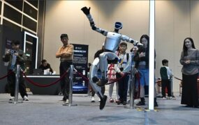 دیدنی های امروز؛ از اعتراضات کشاورزان اروپایی تا کنفرانس خبری پایان سال پوتین