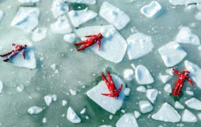 دیدنی های امروز؛