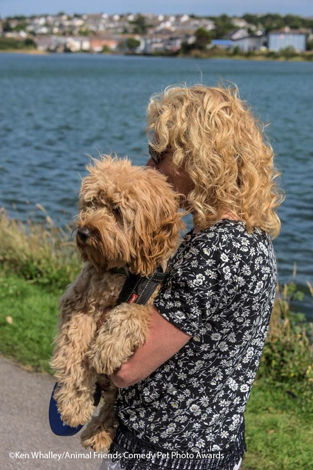 لحظههای بامزه حیوانات؛ ترندی جذاب در دنیای عکاسی عکاسی طنز حیوانات