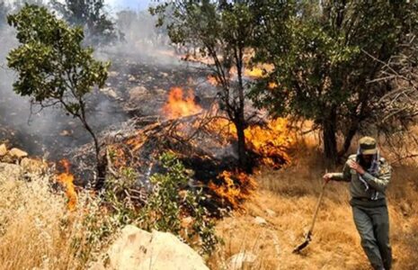 حبس عاملان آتش‌سوزی عمدی جنگل‌ها