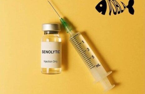 واکسن ضد پیری اختراع شد؛ امید تازه برای مقابله با سن! واکسن ضد پیری