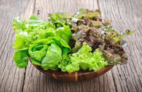 کدام بخش کاهو نیترات بیشتری دارد؟