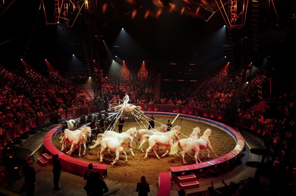 اجرای نمایش با اسب در چهل و هشتمین جشنواره بین‌المللی