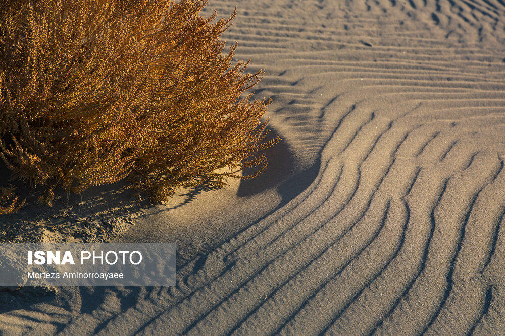 قلعه کاظم داشی؛ اثر تاریخی در سایه خشکی دریاچه ارومیه/ تصاویر قلعه کاظم داشی