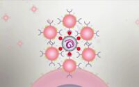 اسفنج