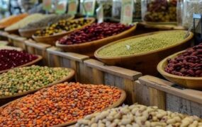 افزایش ۳۰ تا ۳۵ درصدی قیمت حبوبات