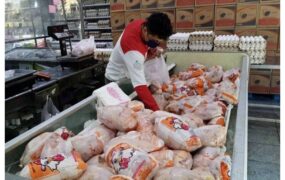 وعده دولت برای آرامش بازار گوشت/ قیمتها پس از موج التهاب کاهشی میشود بازار گوشت