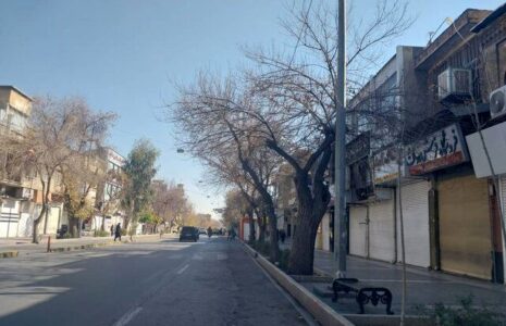 بازار+شیراز