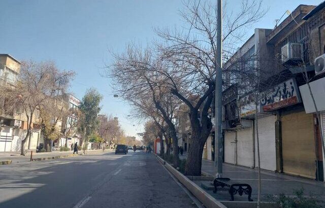 بازار+شیراز