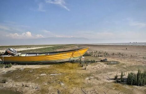 خلیج گرگان به نقطه بحرانی رسید