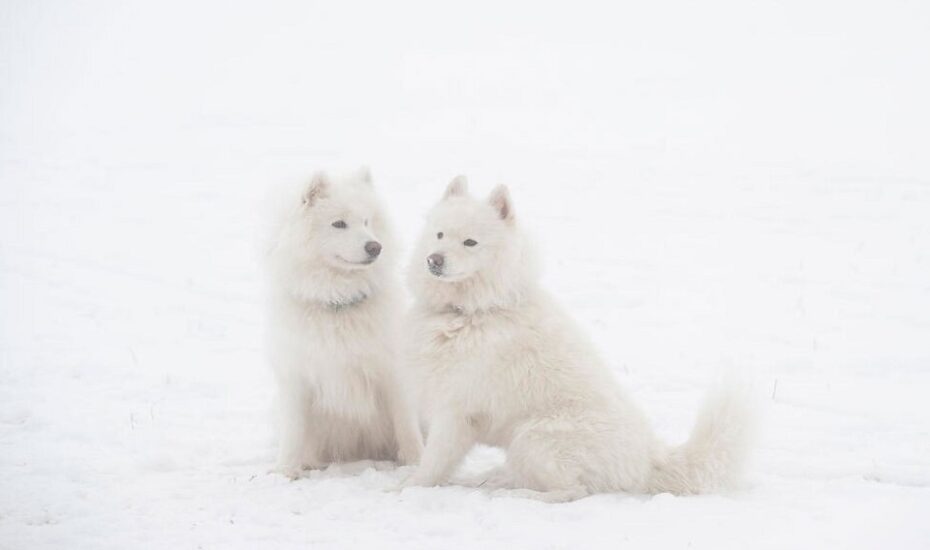 دیدنی های امروز