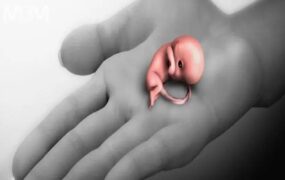 سوگ پنهان پس از سقط جنین؛ اندوهی که کمتر دیده می‌شود