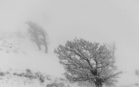 طبیعت زمستانی استان گلستان