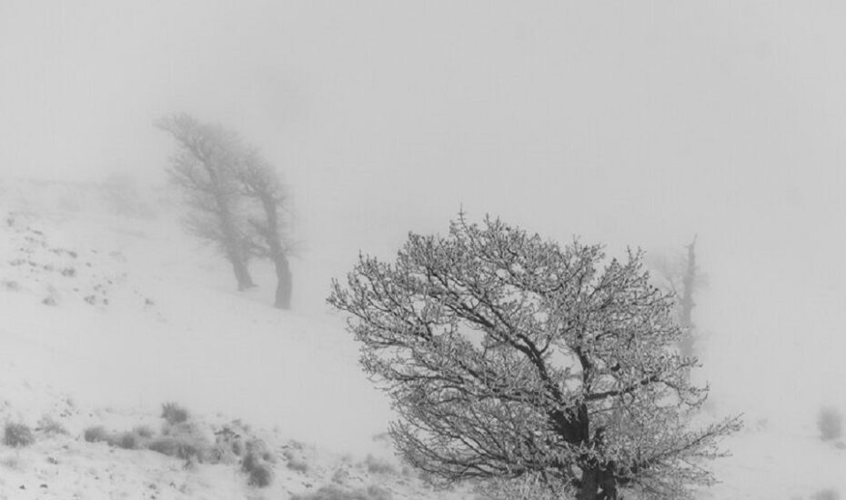 طبیعت زمستانی استان گلستان