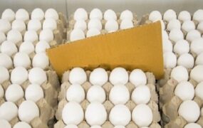 قیمت تخم مرغ در بازار 1404/10/24 قیمت تخم مرغ