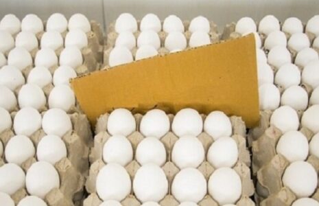 قیمت تخم مرغ