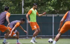 محمد مهدی محبی