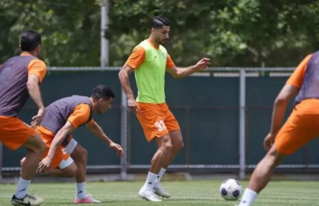 محمد مهدی محبی