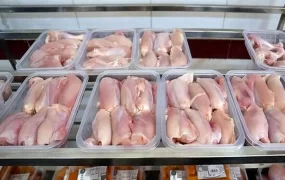 معاون وزیر: جهش قیمت مرغ ناگهانی نخواهد بود قیمت مرغ