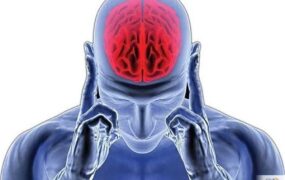 نگران مغزتان هستید استرس نداشته باشید مغز