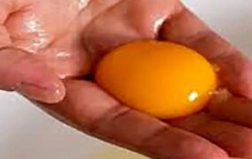نقش زرده تخم مرغ در سلامت بینایی