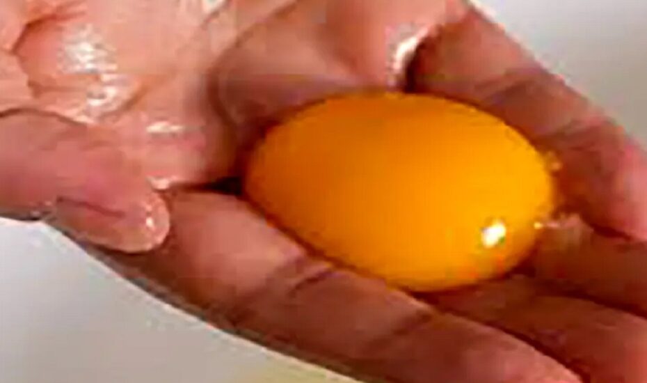نقش زرده تخم مرغ در سلامت بینایی