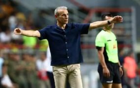 گل‌محمدی تراکتور