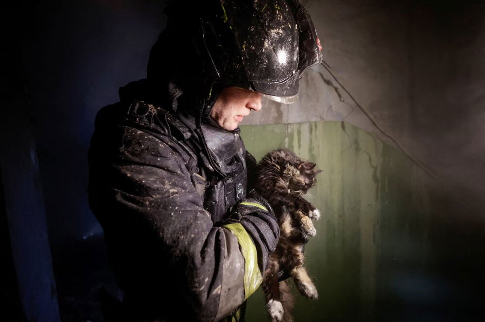 نجات یک گربه از یک ساختمان منفجر شده 