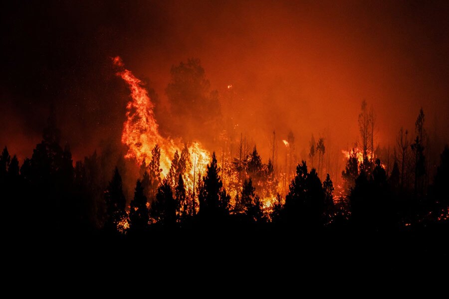 آتش سوزی گسترده در هزاران هکتار از اراضی جنگلی