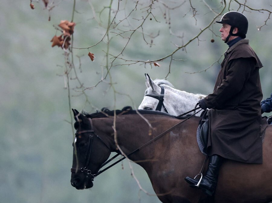 اسب سواری برادر کوچکتر پادشاه انگلیس