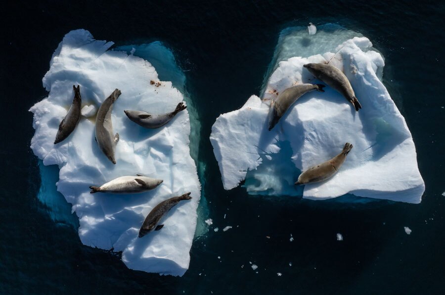 جزیره نعل اسبی در قطب جنوب