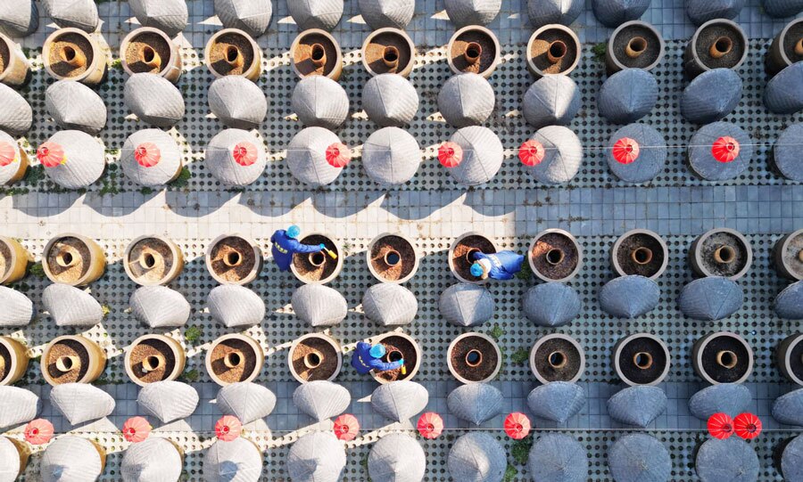 کارخانه تولید سس سویا 