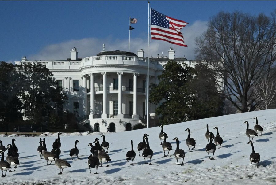 دیدنی های امروز؛ از جشن های سال نو چینی تا ولنتاین دستهای از غازهای کانادایی در چمنزار جنوبی